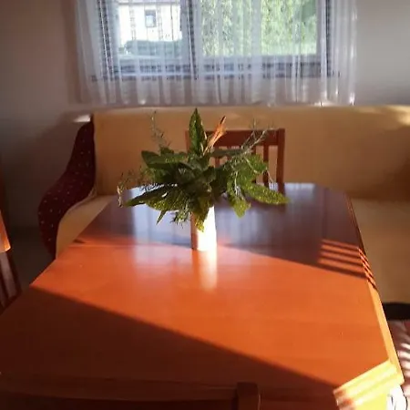Kuca Za Odmor Japica Villa Sveti Martin Na Muri Exteriör bild