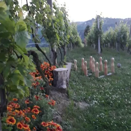 Kuca Za Odmor Japica Villa Sveti Martin Na Muri Exteriör bild