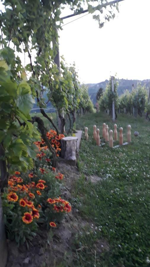 Ferienhaus Kuca Za Odmor Japica *